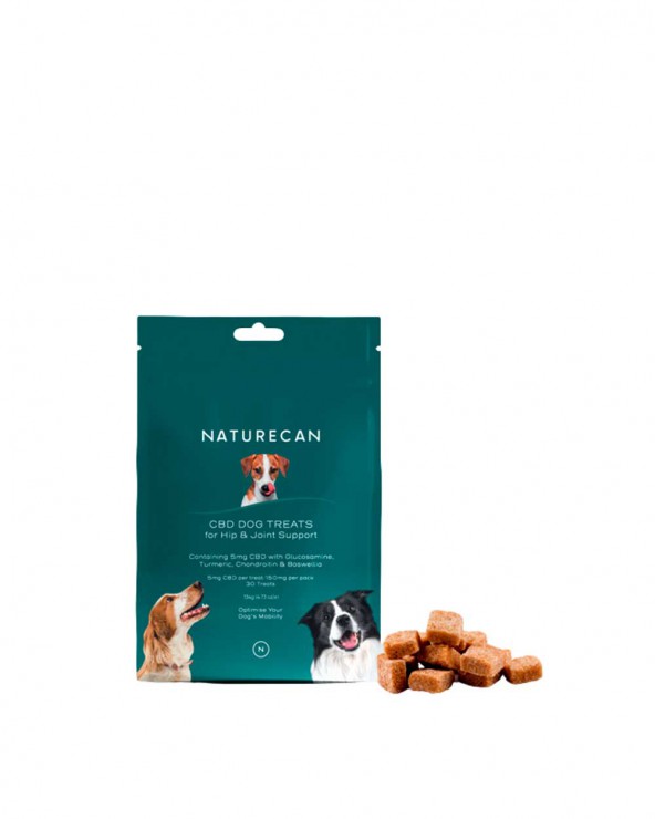 are cbd treats ok for dogs